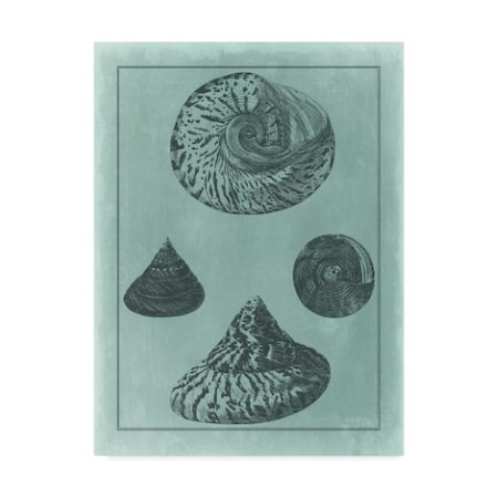 Vision Studio 'Spa Shell Collection Ii' Canvas Art,14x19